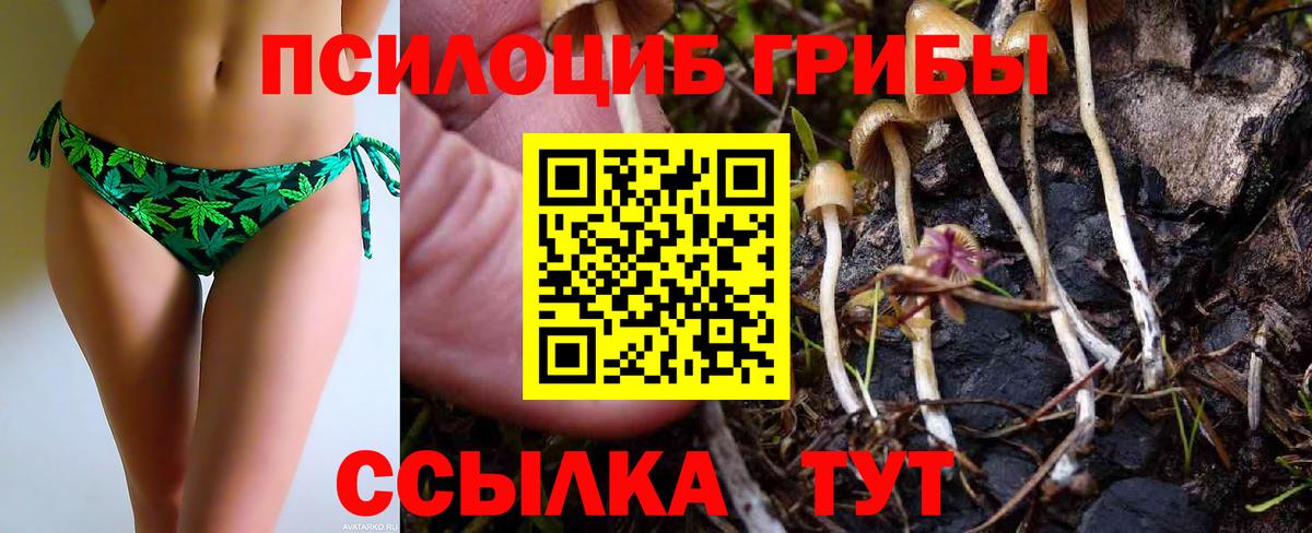Псилоцибиновые грибы Cubensis  что такое наркотик  Псилоцибиновые грибы Cubensis  Комсомольск-на-Амуре  Вход с VPN 
