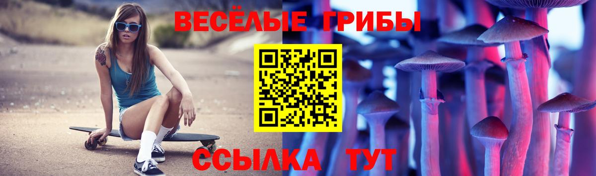 Псилоцибиновые грибы Psilocybe Комсомольск-на-Амуре